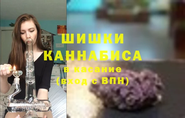 индика Армянск