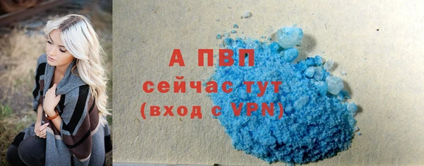 индика Армянск