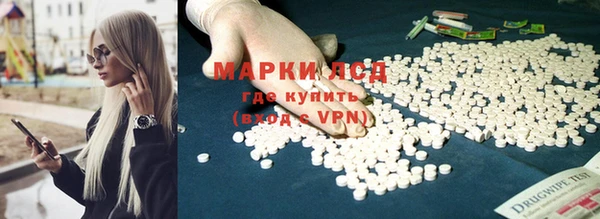 индика Армянск