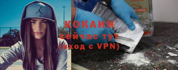 индика Армянск
