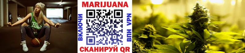 что такое   Фрязино  Бошки марихуана OG Kush 